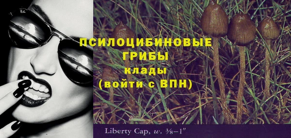 индика Алексеевка