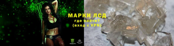 стаф Алзамай