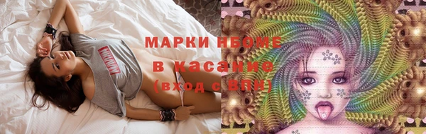 индика Алексеевка