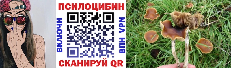 Галлюциногенные грибы Psilocybine cubensis  Карасук 