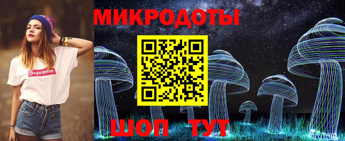 Карасук  Псилоцибиновые грибы Psilocybe  Вход с VPN  наркота  Галлюциногенные грибы Cubensis 