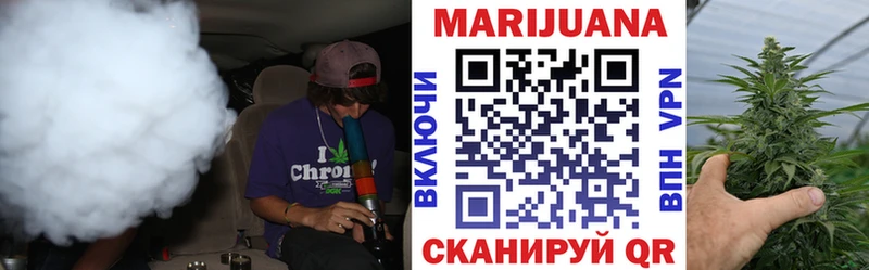 МАРИХУАНА ГИДРОПОН  купить закладку  Карасук 